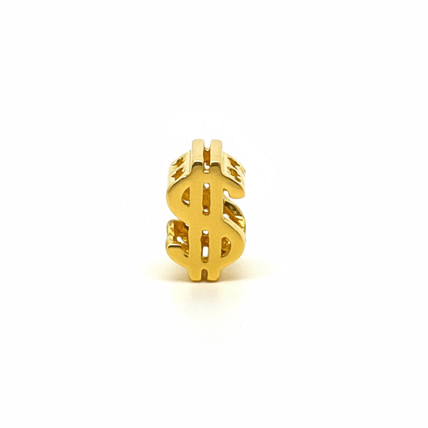 Polished Dollar Charm — image 1